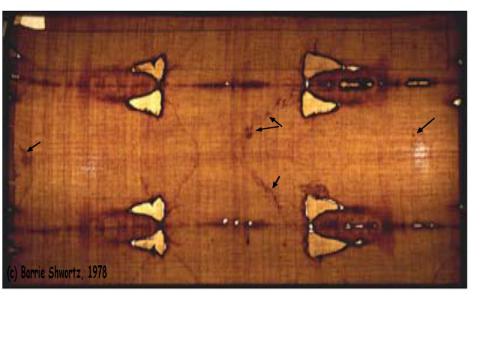 l'image du linceul est presque transparente l'image du linceul est presque transparente