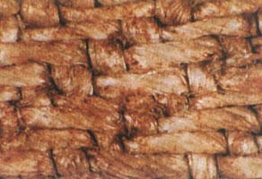 le sang du linceul de turin le sang du linceul de turin