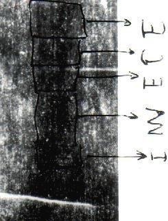 ecriture sous le visage de l'homme du linceul ecriture sous le visage de l'homme du linceul