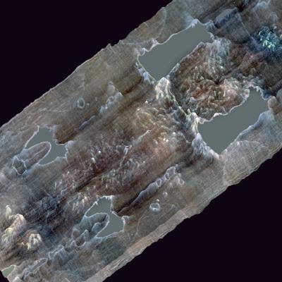 La flagellation bien visible en 3D